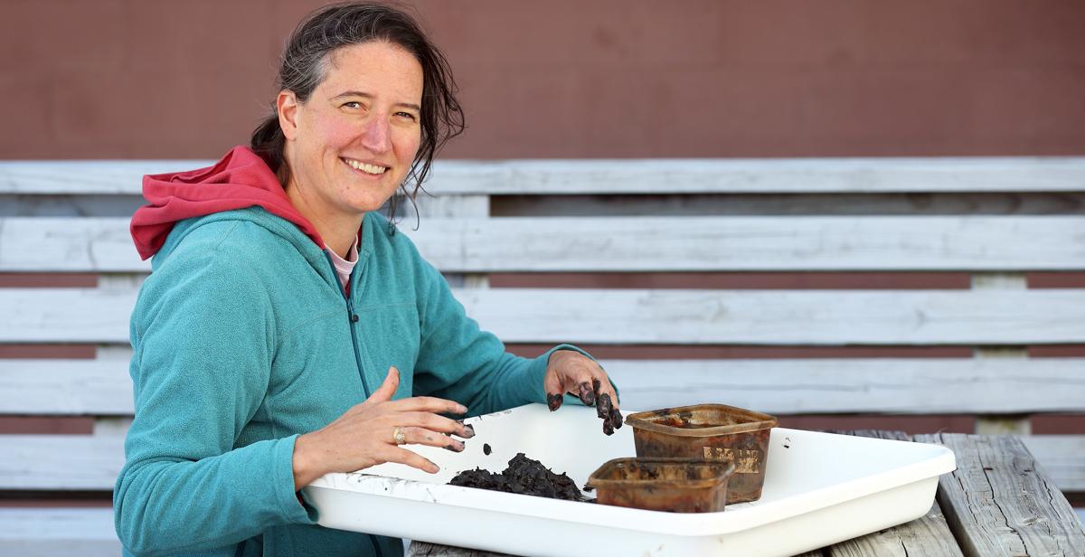 Dr. Kelly Dorgan, an associate professor of marine science at the University of South Alabama, studies worms and their impact on marine sediment. 